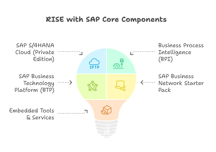 Navigating the Transformation: A Strategic C-Suite Guide to RISE with SAP